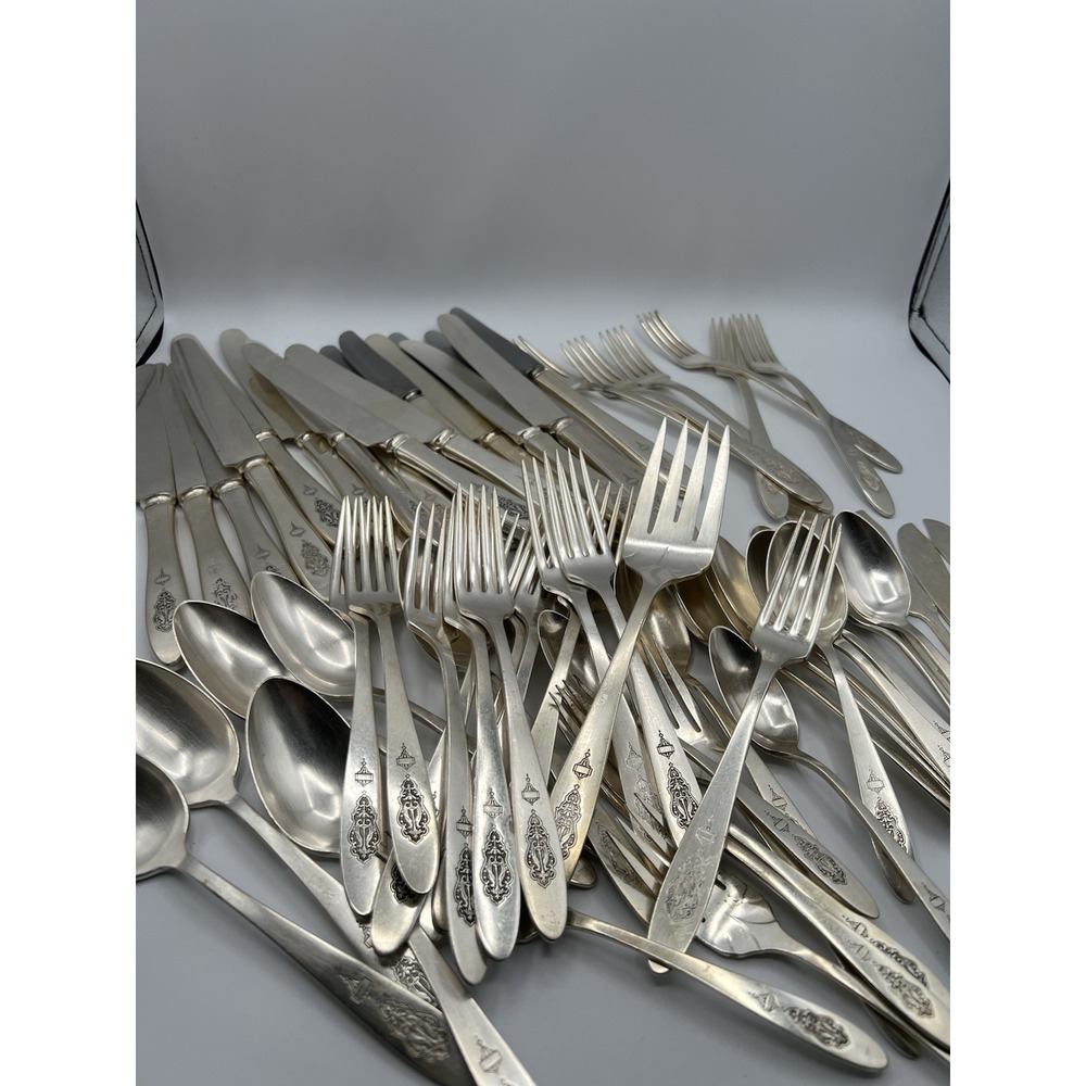 64 Pc ONEIDA BIRD of PARADISE COMMUNITY PLATE 1923 SILVERWARE Forks Knives Spoon